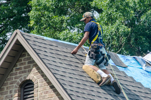 Best Residential Roofing Contractor  in Natchez, MS